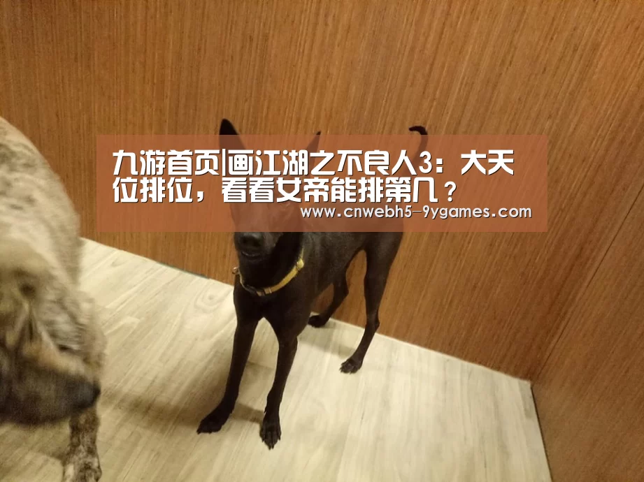 九游首页|画江湖之不良人3:大天位排位,看看女帝能排第几?(图2) 九游